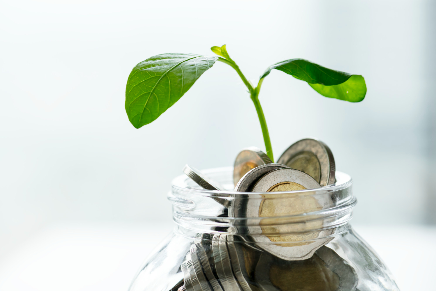 Invest Capital